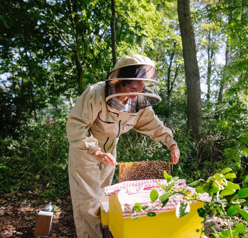 How to start beekeeping: four female beekeepers share their journey