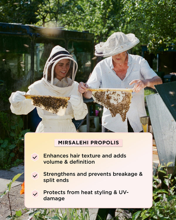 An infographic showing key benefits of Mirsalehi Propolis